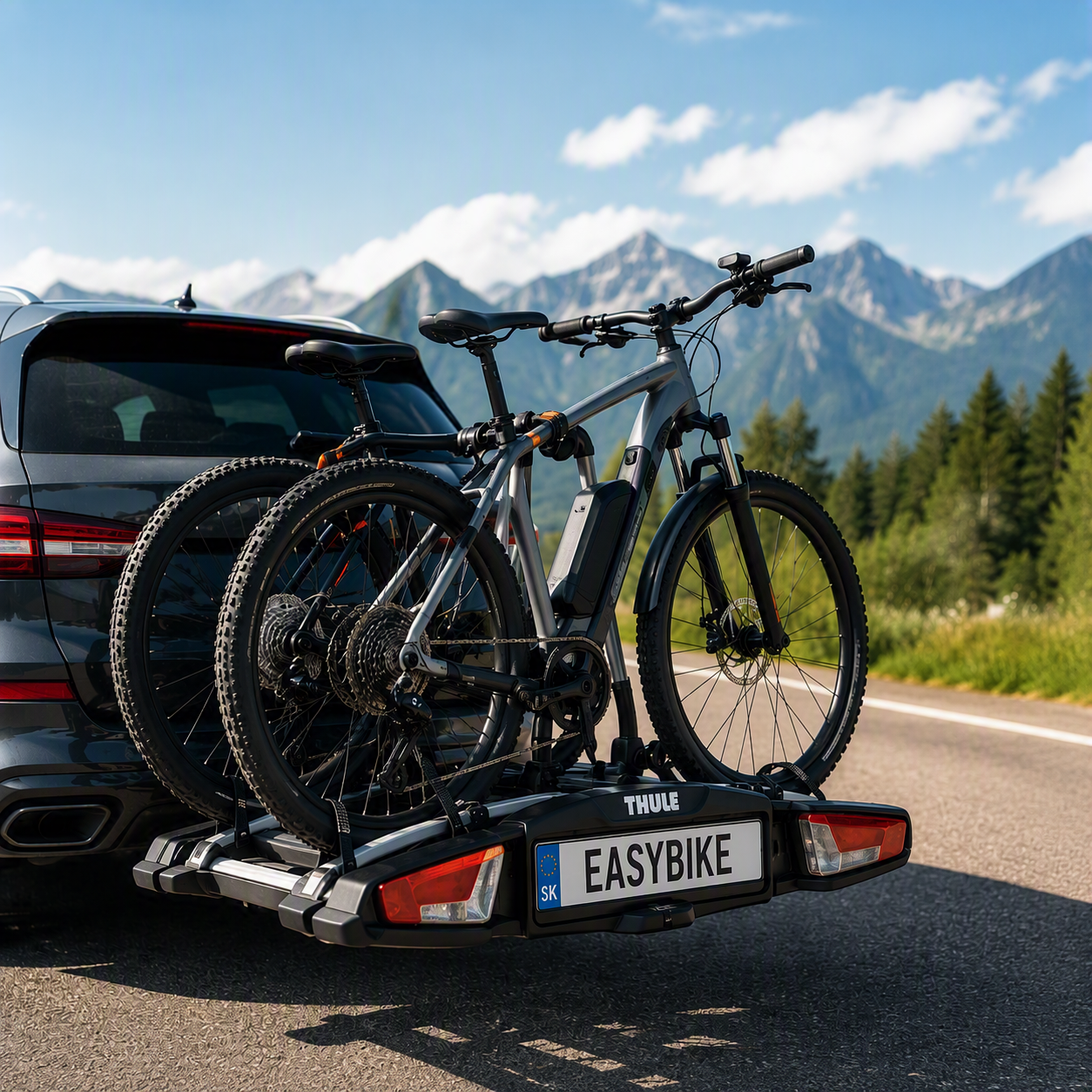 Nosič na elektrobicykel na ťažnom zariadení je najbezpečnejším a najpohodlnejším spôsobom prepravy e-bikov na výlety aj dovolenky.